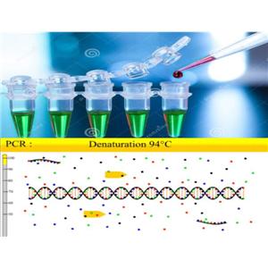 羊流產(chǎn)沙門氏菌探針法熒光定量PCR試劑盒,Salmonella abortus ovis