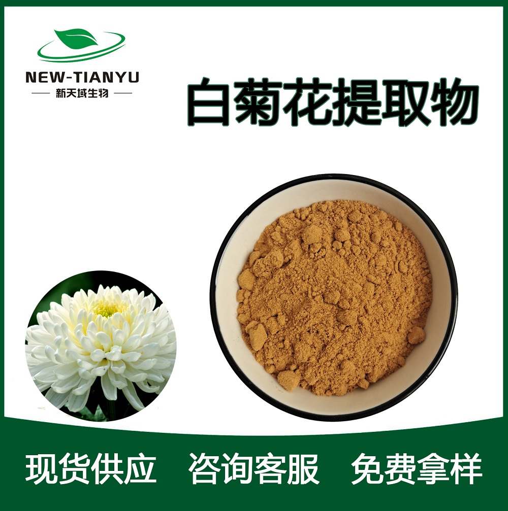 白菊花提取物,Chrysanthemum morifolium extract