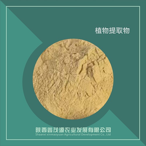 石斛提取物,Dendrobium extract