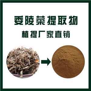 委陵菜提取物,Potentilla chinensis extract