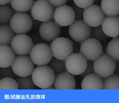 Aldehyde/Sulfate Latex Beads（醛/硫酸盐乳胶微球）