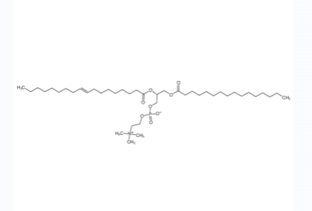 2-油酰-1-棕榈锡甘油-3-磷酸胆碱,1-PALMITOYL-2-OLEOYL-SN-GLYCERO-3-PHOSPHOCHOLINE