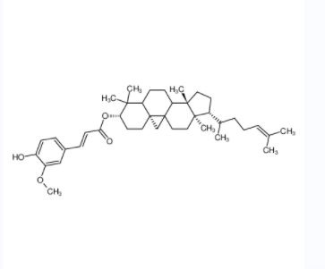 谷維素,gamma-Oryzanol