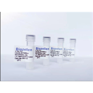 Biozellen3D 类器官培养基质胶套装