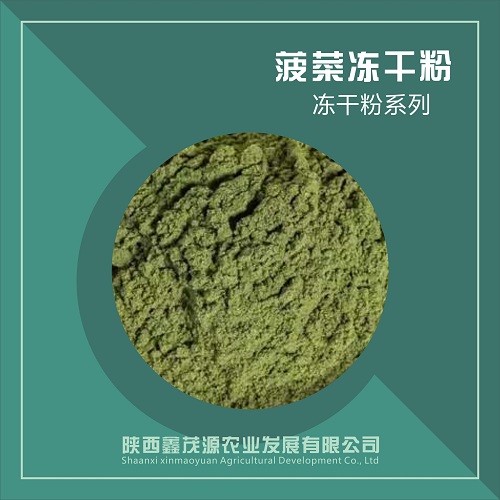 菠菜冻干粉,Freeze dried spinach powder