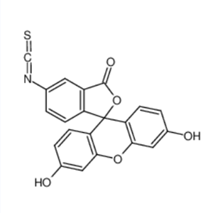 异硫氰酸荧光素,Fluorescein isothiocyanate