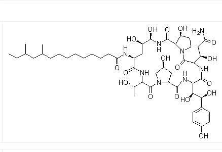 纽莫康定,Pneumocandin B0