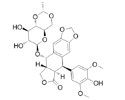 依托泊苷,Etoposide