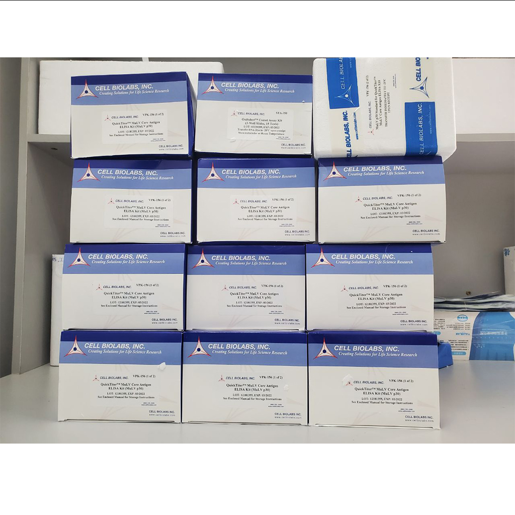 QuickTiter 小鼠白血病病毒（MuLV）核心抗原ELISA检测试剂盒,QuickTiter MuLV Core Antigen ELISA Kit