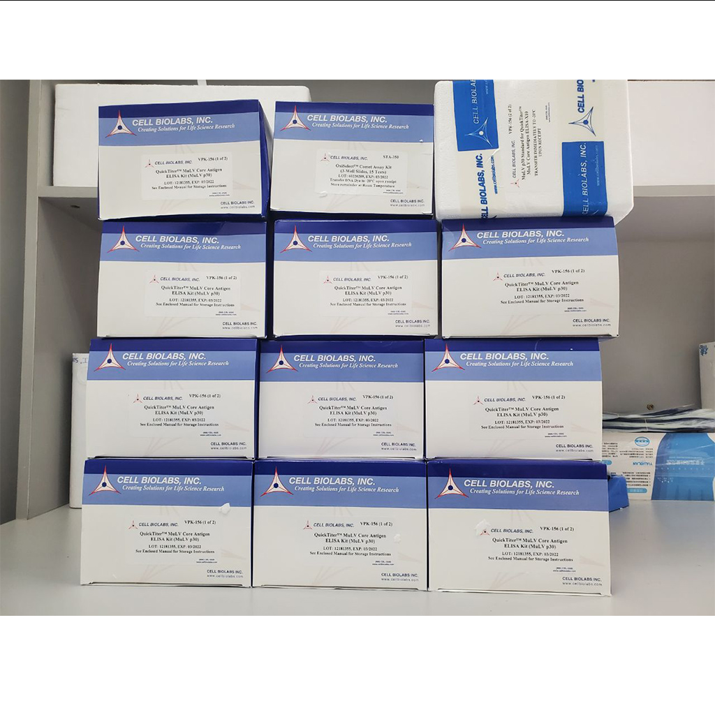 OxiSelect RNA氧化损伤ELISA检测试剂盒（8-OHdG定量检测）,OxiSelect Oxidative RNA Damage ELISA Kit (8-OHG Quantitation) (96 tests)