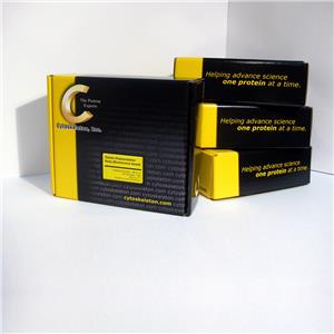RhoA G-LISA 活化检测试剂盒（发光法）