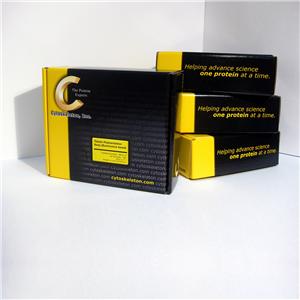 RhoA Pulldown 活化检测试剂盒