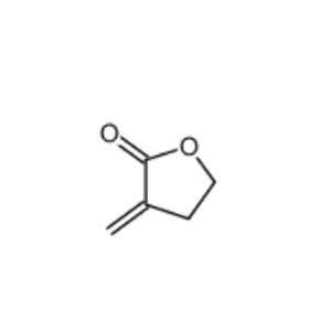 2-甲烯基丁内酯,Tulipalin A