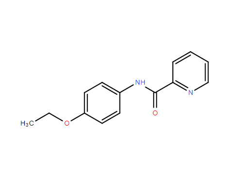 N-(4-ETHOXYPHENYL)PICOLINAMIDE,N-(4-ETHOXYPHENYL)PICOLINAMIDE