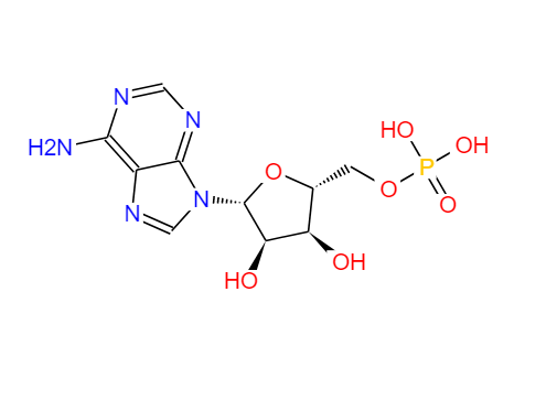 腺苷-5'-單磷酸,AMP