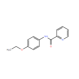 N-(4-ETHOXYPHENYL)PICOLINAMIDE,N-(4-ETHOXYPHENYL)PICOLINAMIDE