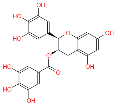 (-)-表没食子儿茶素没食子酸酯,Epigallocatechin-3-gallate