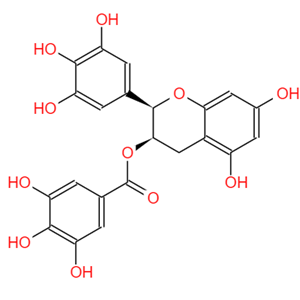 (-)-表没食子儿茶素没食子酸酯,Epigallocatechin-3-gallate