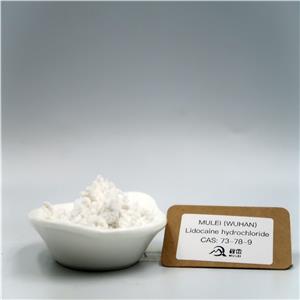 Lidocaine hydrochloride