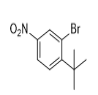 2-溴-1-(叔丁基)-4-硝基苯,2-bromo-1-(tert-butyl)-4-nitrobenzene