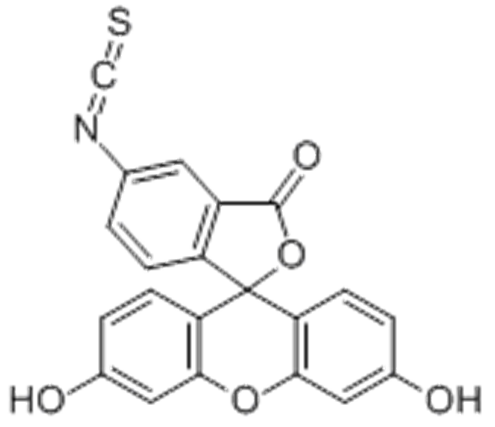 异硫氰酸荧光素,5,6-FITC