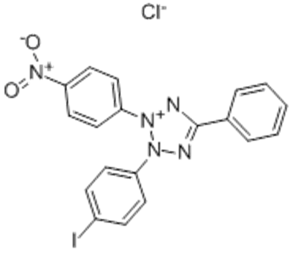 碘硝基四唑紫,INT