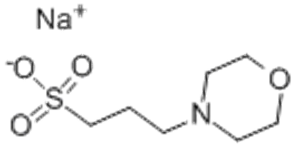 3-(N -吗啉代)丙烷磺酸钠,MOPS-Na