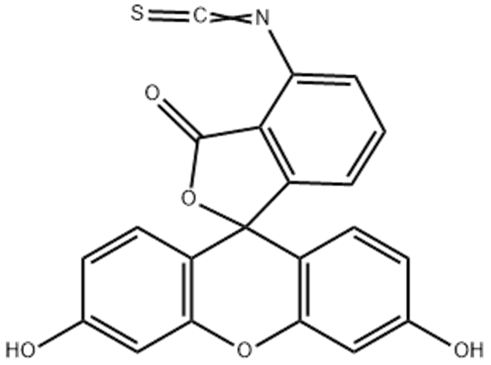 6-异硫氰酸荧光素,6-FITC