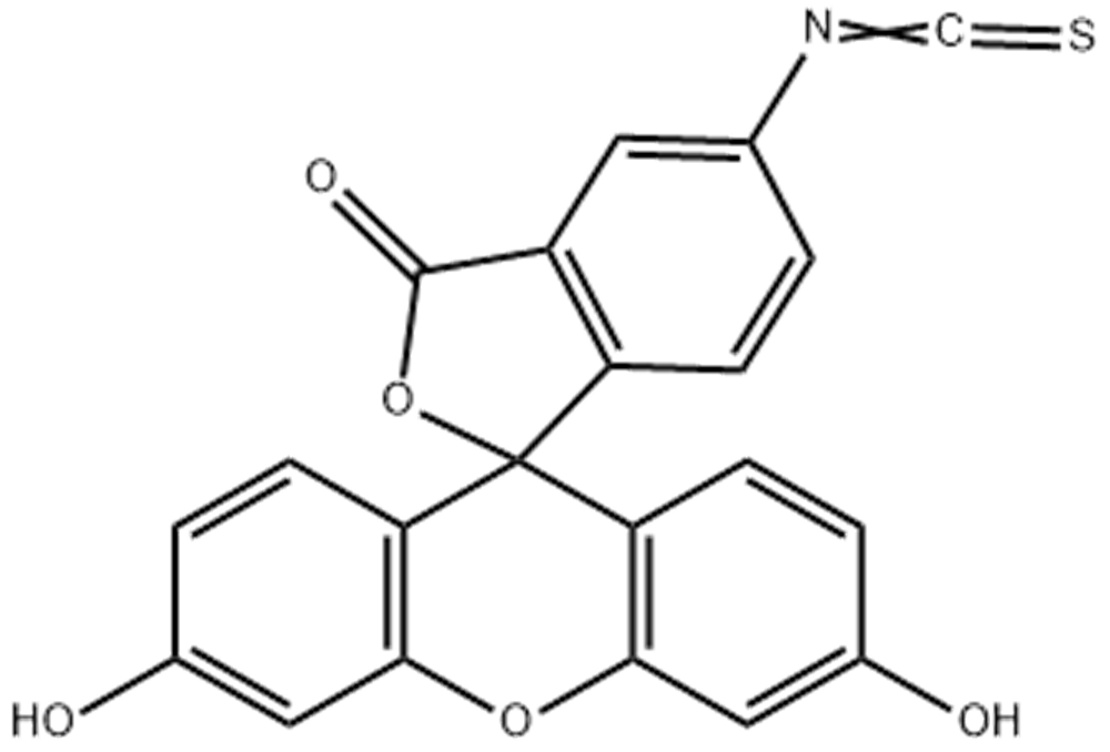 异硫氰酸荧光素酯,5-FITC
