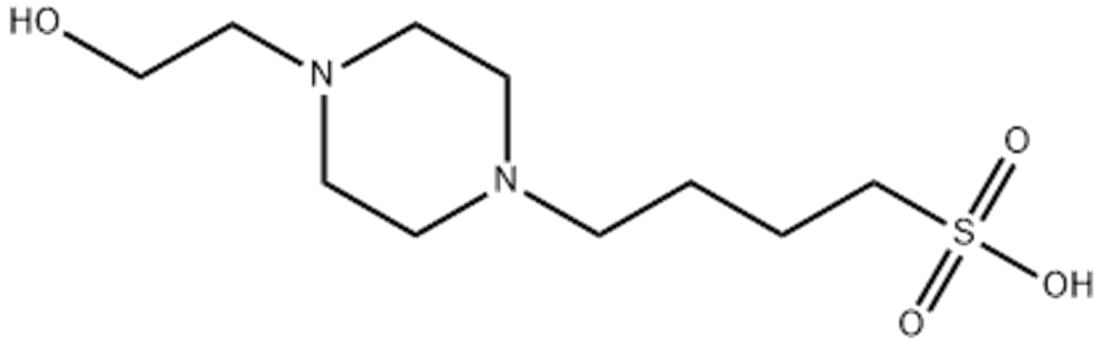 N-(2-羟乙基)哌嗪-N'-(4-丁磺酸),HEPBS