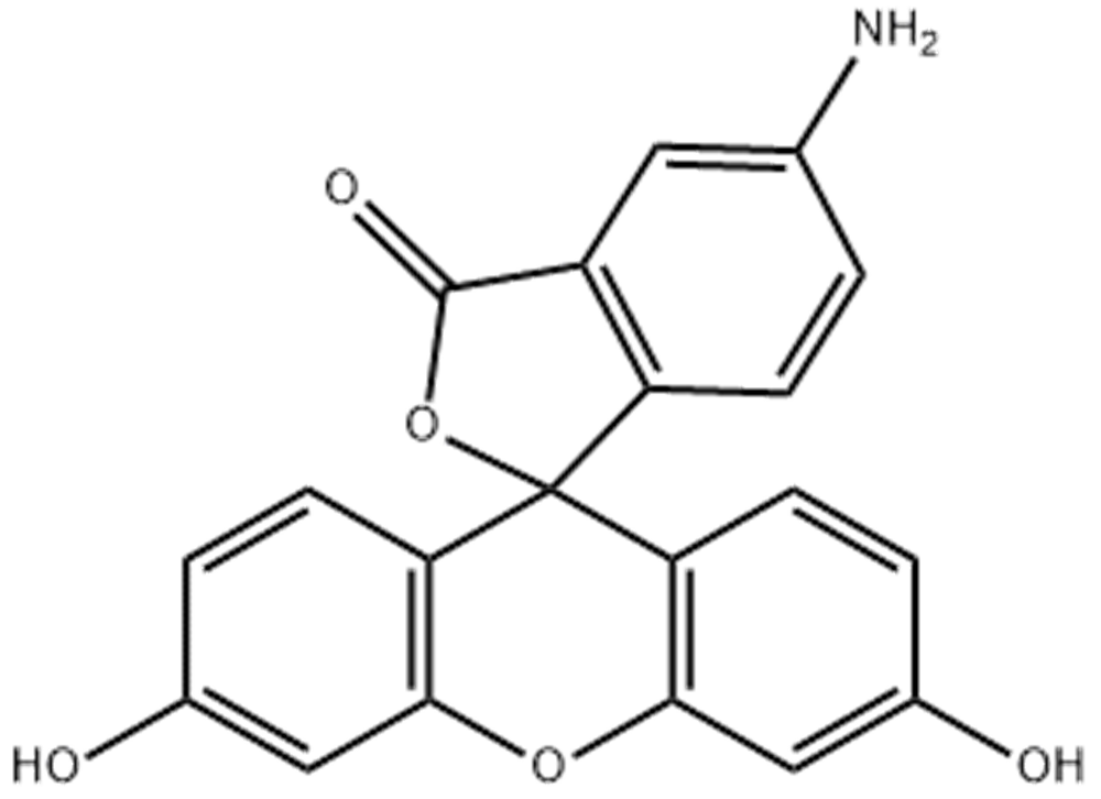 5-氨基荧光素,5-AFM