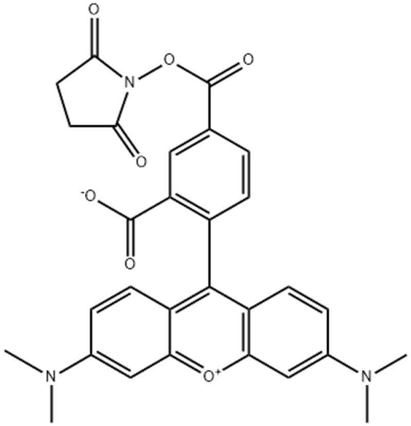 5-羧基四甲基羅丹明琥珀酰亞胺酯,5-TAMRA SE