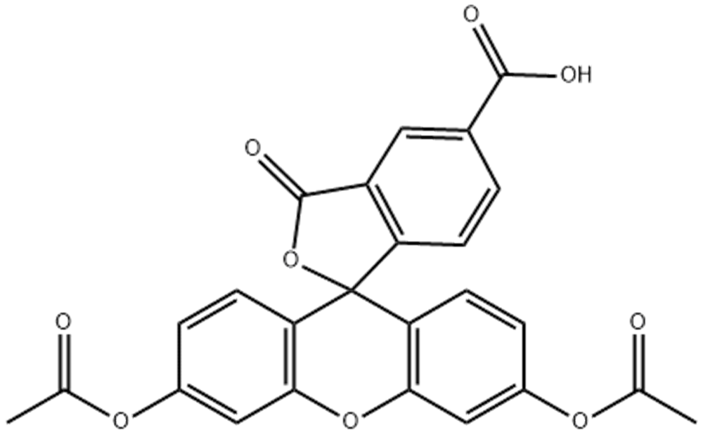 5-羧基荧光素二乙酸酯,5-CFDA