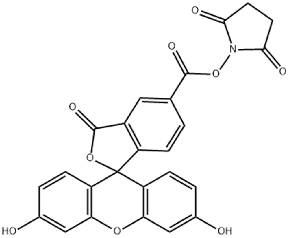 5-羧基荧光素琥珀酰亚胺酯,5-FAM SE