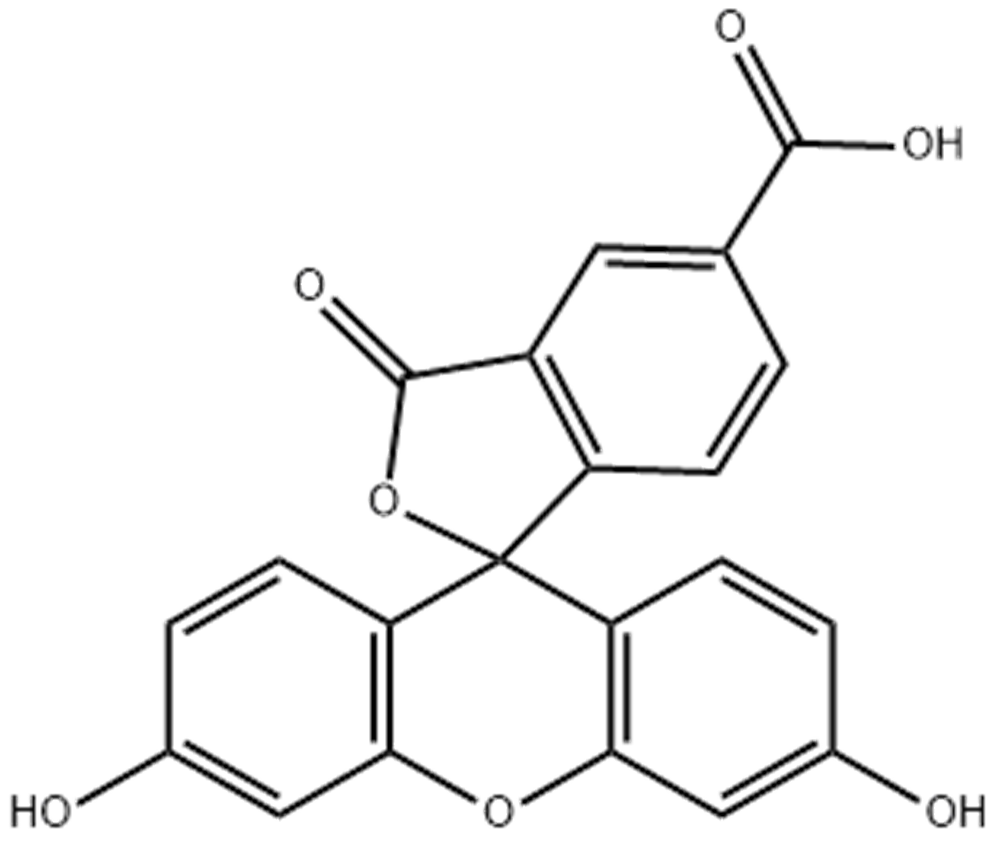 5-羧基荧光素,5-FAM