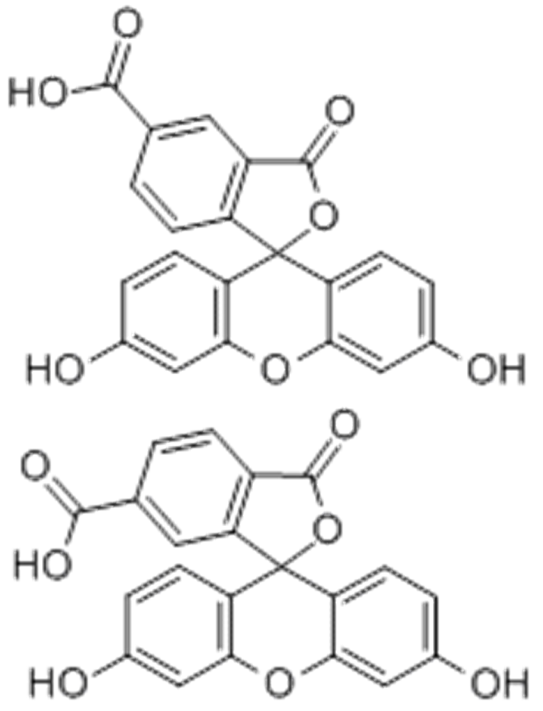 5(6)-羧基荧光素,5(6)-FAM