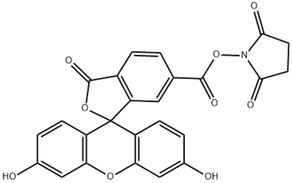 6-羧基荧光素琥珀酰亚胺醚,6-FAM SE