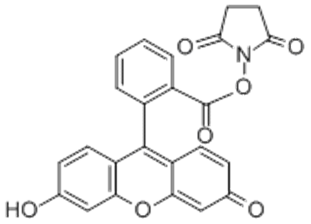 5(6)-羧基荧光素琥珀酰亚胺酯,5(6)-FAM SE