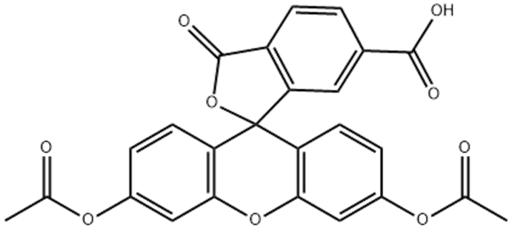 6-羧基荧光素二乙酸酯,6-CFDA