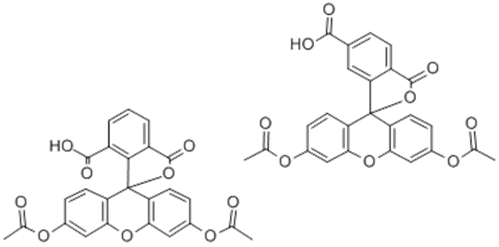 5(6)-羧基荧光素二乙酸酯,5(6)-CFDA