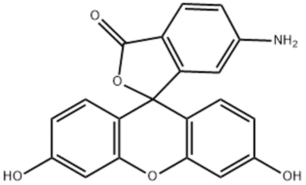 6-氨基荧光素,6-AFM