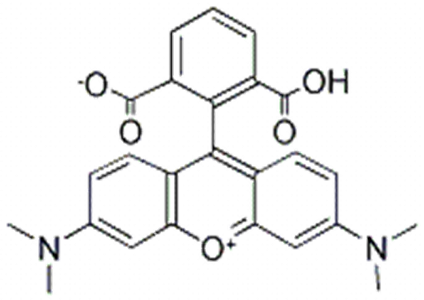 6-羧基四甲基罗丹明,6-TAMRA