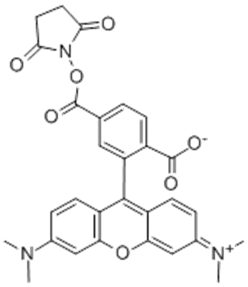 6-羧基四甲基罗丹明琥珀酰亚胺酯,6-TAMRA SE