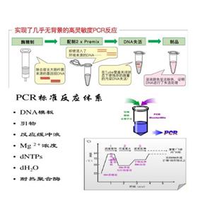 巨睾前殖吸虫探针法荧光定量PCR试剂盒,Prosthogonimus macrorchis