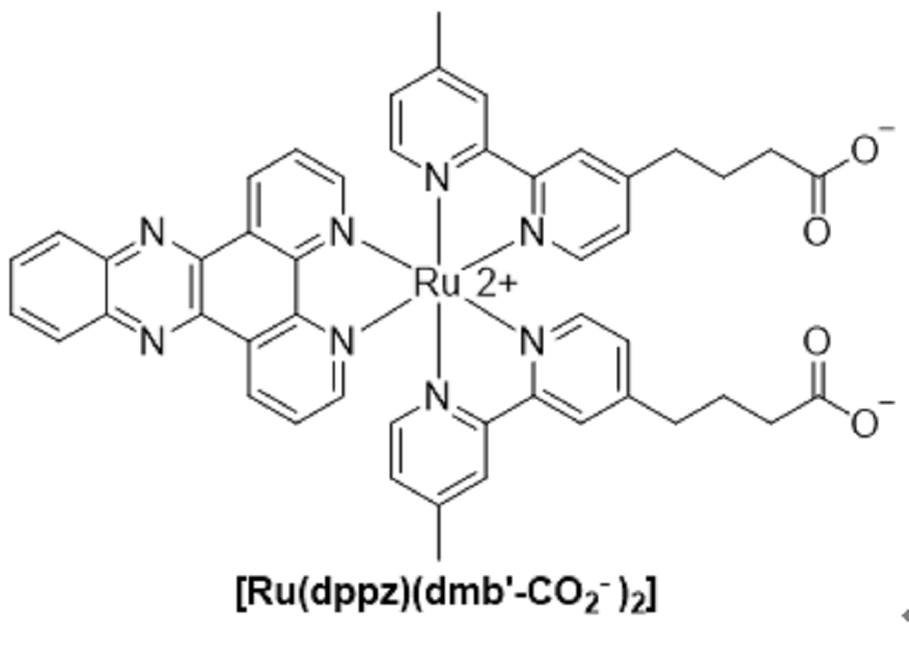 [Ru(dppz)(dmb′-CO2-)2]