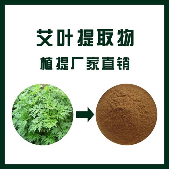 艾叶提取物,Folium Artemisiae Argyi extract