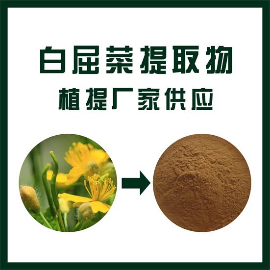 白屈菜提取物,Chelidonium  extract