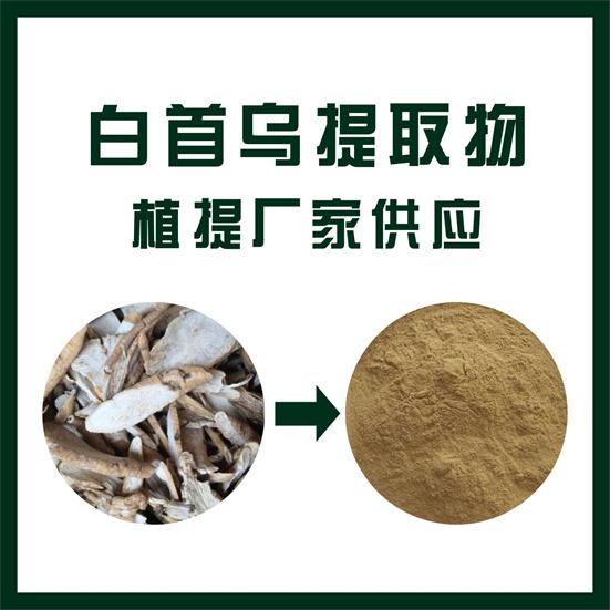 白首乌提取物,Cynanchum auriculatum extract