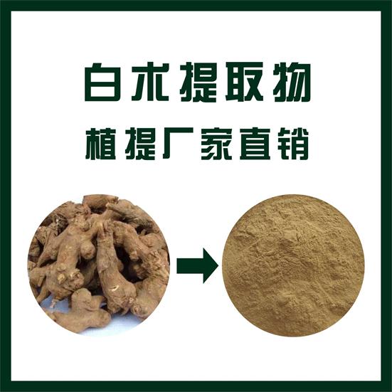 白术提取物,Atractylodes macrocephala Koidz extract