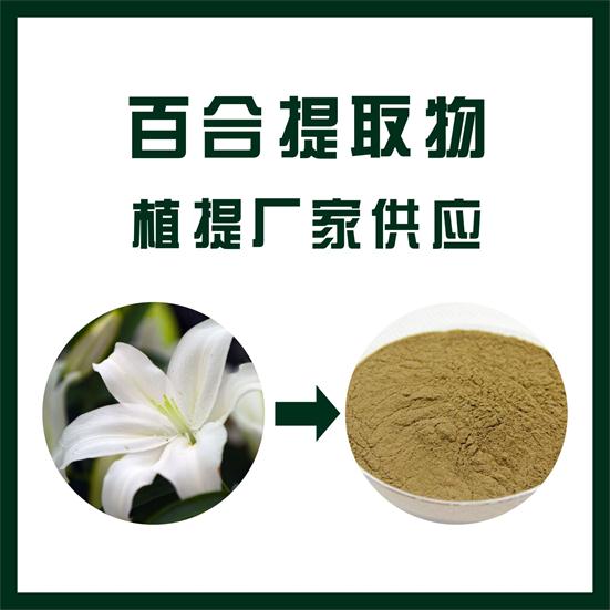 百合提取物,Lily extract